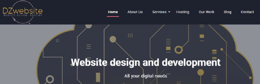 dzwebsite